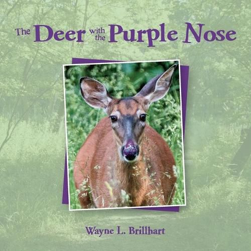 Cover image for The Deer with the Purple Nose: A Rusty & Purdy Backyard Bird Adventure