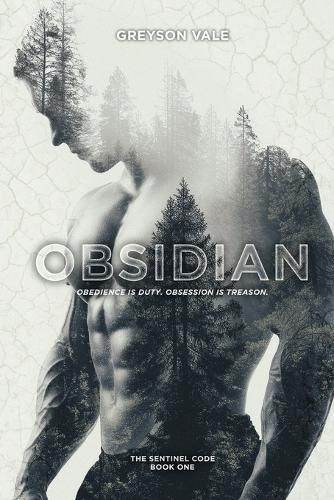 Cover image for Obsidian