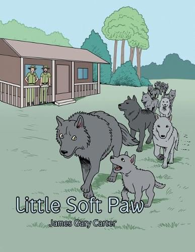 Cover image for Little Soft Paw