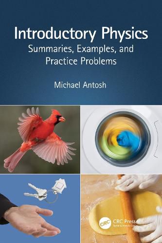 Cover image for Introductory Physics: Summaries, Examples, and Practice Problems