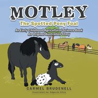 Cover image for Motley