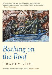 Cover image for Bathing on the Roof