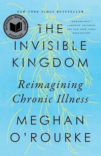 Cover image for The Invisible Kingdom