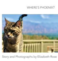 Cover image for Where's Phoenix?