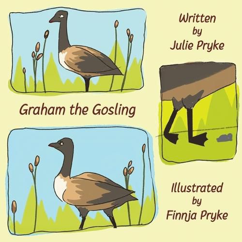 Cover image for Graham the Gosling