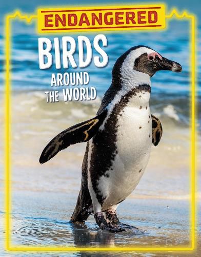 Cover image for Endangered Birds Around the World