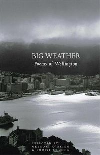 Cover image for Big Weather
