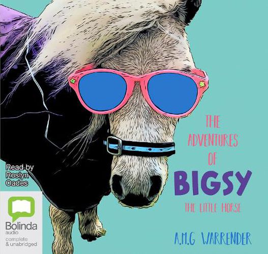 Cover image for The Adventures of Bigsy - The Little Horse