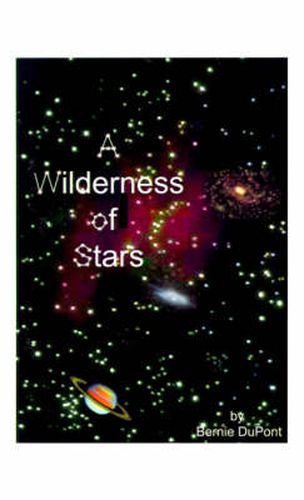 Cover image for A Wilderness of Stars