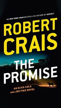 Cover image for The Promise