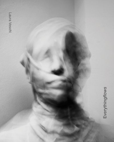 Cover image for Everything flows