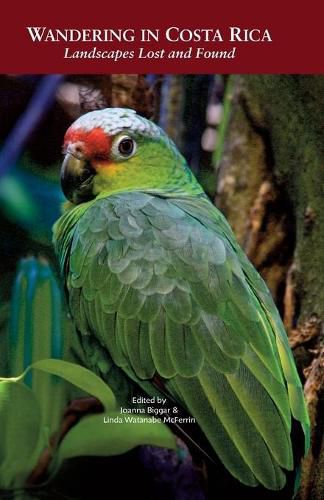 Cover image for Wandering in Costa Rica: Landscapes Lost and Found