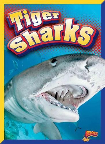 Cover image for Tiger Sharks