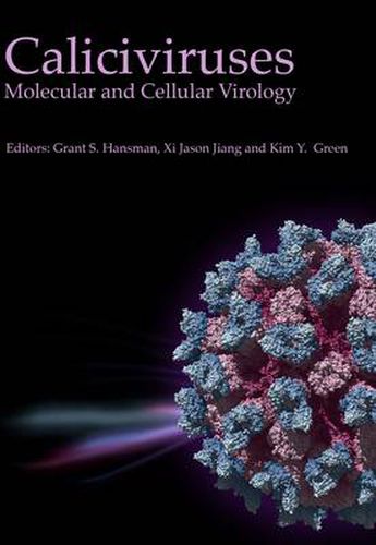 Cover image for Caliciviruses: Molecular and Cellular Virology