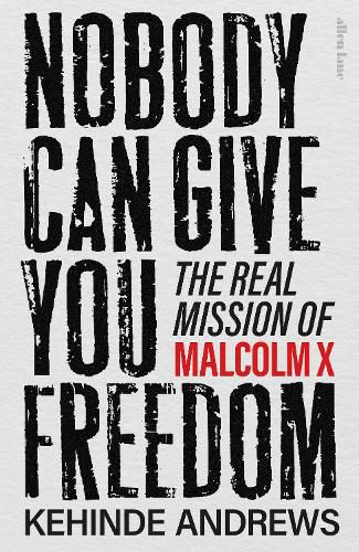 Cover image for Nobody Can Give You Freedom