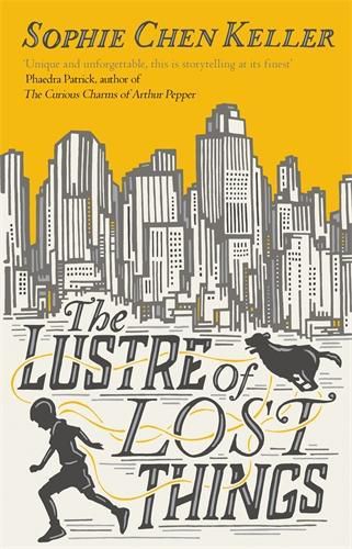 Cover image for The Lustre of Lost Things