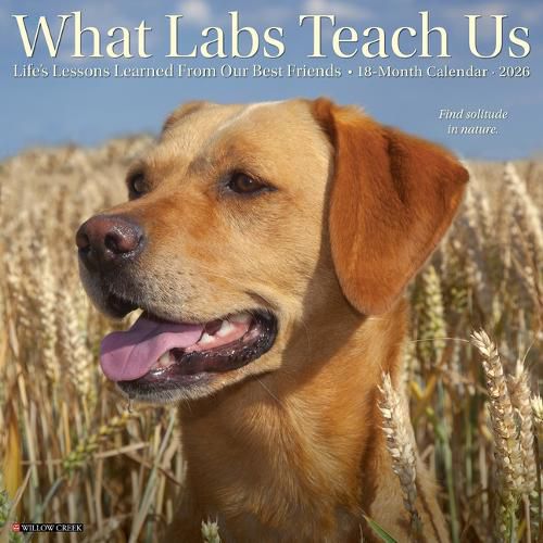 Cover image for What Labs Teach Us 2026 12 X 12 Wall Calendar