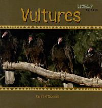 Cover image for Vultures