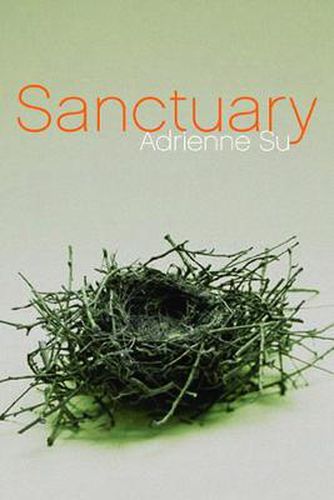 Cover image for Sanctuary