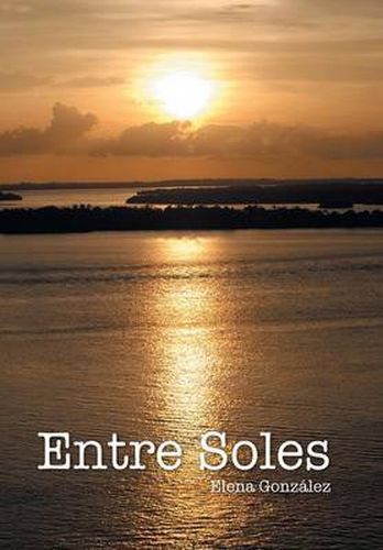 Cover image for Entre soles