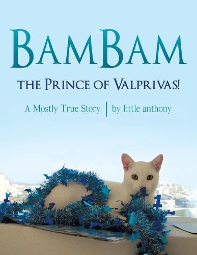 Cover image for BamBam, the Prince of Valprivas!: A Mostly True Story