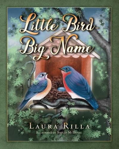 Cover image for Little Bird-Big Name