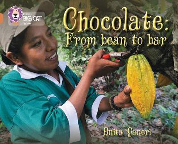 Cover image for Chocolate: from Bean to Bar: Band 12/Copper