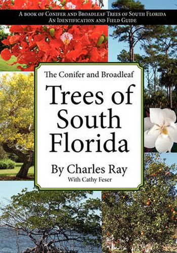 Cover image for The Conifer and Broadleaf Trees of the South