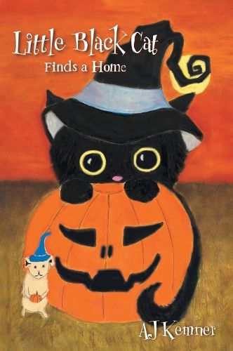 Cover image for Little Black Cat Finds a Home