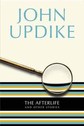 Cover image for The Afterlife: And Other Stories