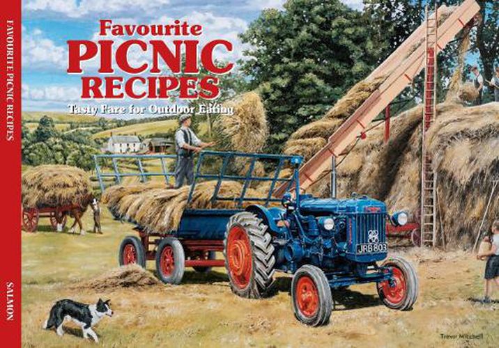 Cover image for Salmon Favourite Picnic Recipes