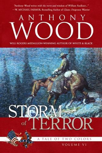 Cover image for Storm of Terror