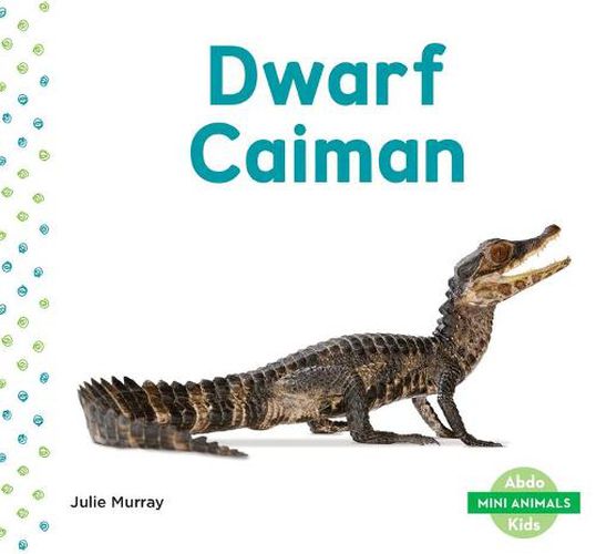 Cover image for Dwarf Caiman