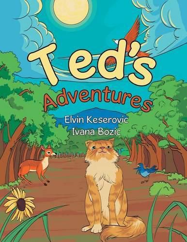 Cover image for Ted's Adventures
