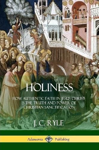 Cover image for Holiness