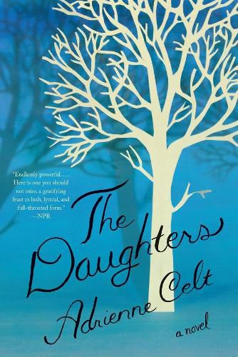 Cover image for The Daughters: A Novel