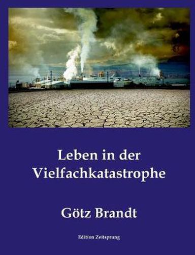 Cover image for Leben in der Vielfachkatastrophe