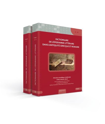 Cover image for Dictionnaire de l'Epigramme Litteraire Dans l'Antiquite Grecque Et Romaine