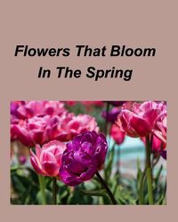 Cover image for Flowers That Bloom In The Spring