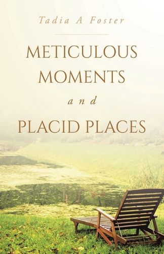 Cover image for Meticulous Moments and Placid Places