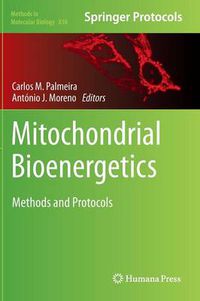 Cover image for Mitochondrial Bioenergetics: Methods and Protocols