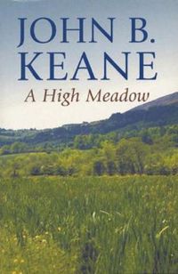 Cover image for A High Meadow