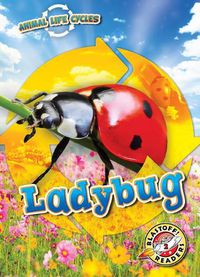 Cover image for Ladybug