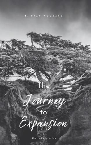 Cover image for The Journey to Expansion