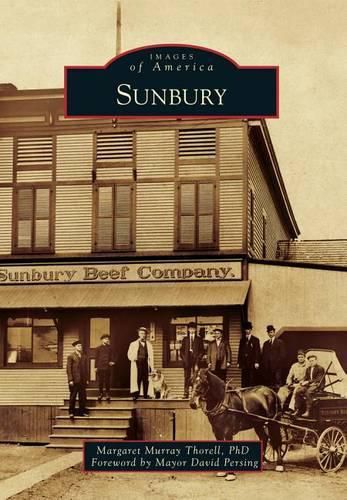 Cover image for Sunbury