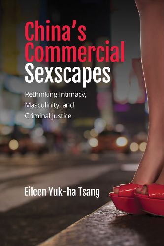 Cover image for China's Commercial Sexscapes: Rethinking Intimacy, Masculinity, and Criminal Justice