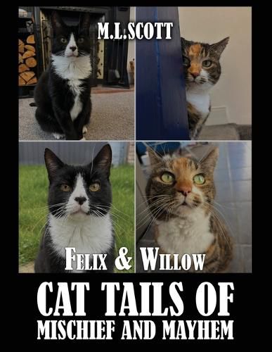 Cover image for Felix & Willow cat tails of mischief and mayhem