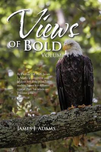 Cover image for Views of Bold: Volume I