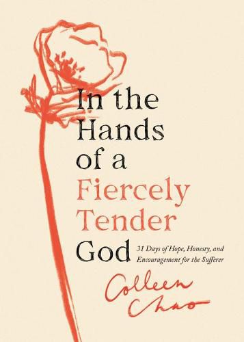 Cover image for In the Hands of a Fiercely Tender God