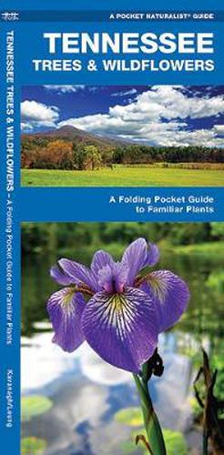 Cover image for Tennessee Trees & Wildflowers: A Folding Pocket Guide to Familiar Species